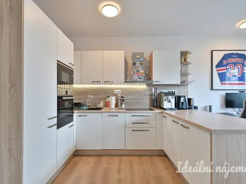 Pronájem bytu 2+kk, Brno, U Červeného mlýna, 59 m2