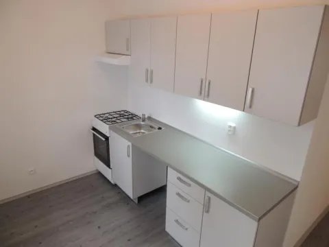 Pronájem bytu 2+1, Ostrava - Hrabůvka, Plavecká, 53 m2