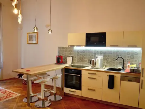 Pronájem bytu 2+kk, Praha - Vinohrady, Mánesova, 55 m2