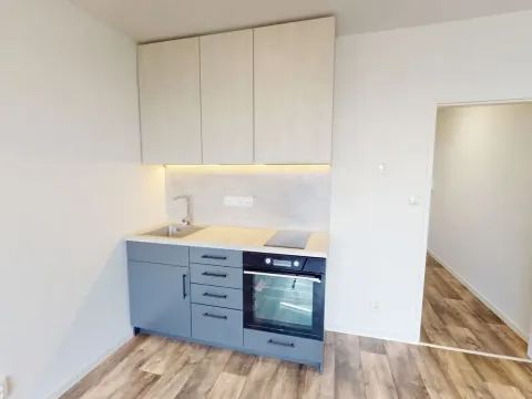 Pronájem bytu 1+kk, Ostrava - Moravská Ostrava, Nádražní, 28 m2