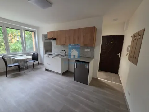 Pronájem bytu 1+kk, Plzeň, Táborská, 25 m2