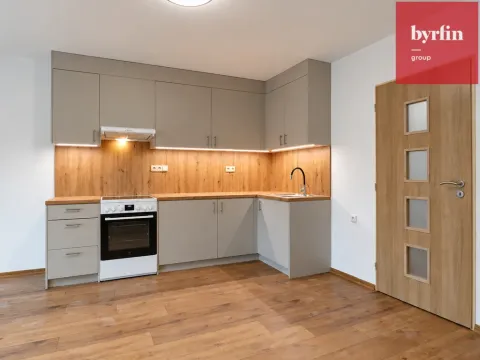 Pronájem bytu 1+kk, Opava, Lužická, 38 m2