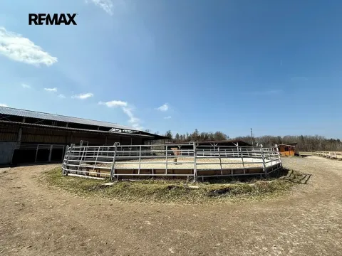 Prodej zemědělského objektu, Spálené Poříčí, 164000 m2