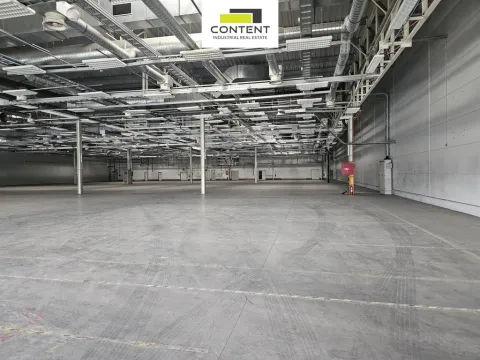 Pronájem skladu, Plzeň - Skvrňany, U Nové Hospody, 1990 m2