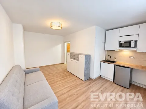 Pronájem bytu 1+kk, Cheb, Hradební, 23 m2