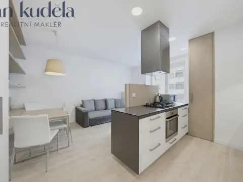 Pronájem bytu 2+kk, Brno, Ryšánkova, 56 m2
