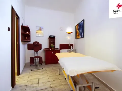 Pronájem komerční nemovitosti, Plzeň - Jižní Předměstí, Borská, 15 m2