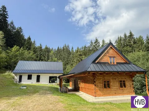 Prodej chalupy, Hutisko-Solanec - Solanec pod Soláněm, 291 m2