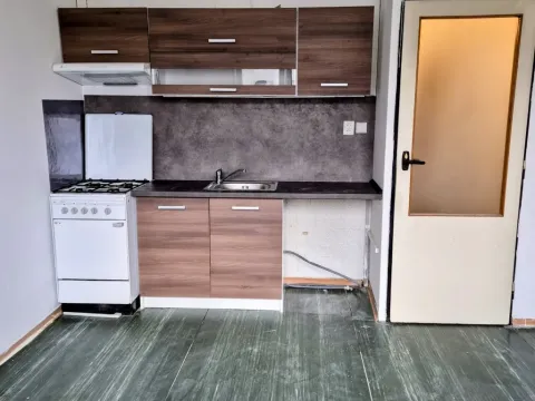 Pronájem bytu 1+1, Děčín - Děčín I-Děčín, Labská, 37 m2