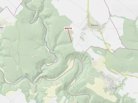Dražba lesa, Ketkovice, 907 m2
