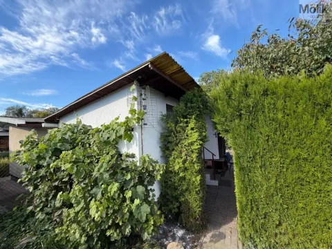 Prodej zahrady, Obrnice - České Zlatníky, 302 m2