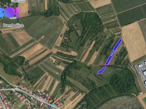 Prodej pole, Dambořice, 4046 m2