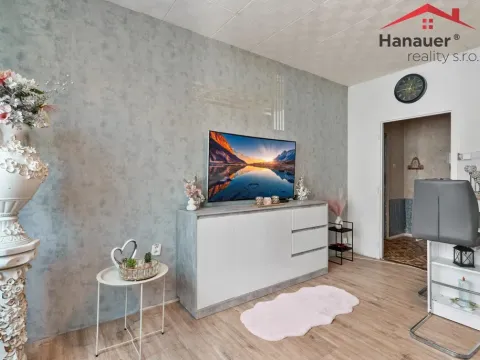 Prodej bytu 2+kk, Děčín - Děčín XXXII-Boletice nad Labem, V Sídlišti, 42 m2