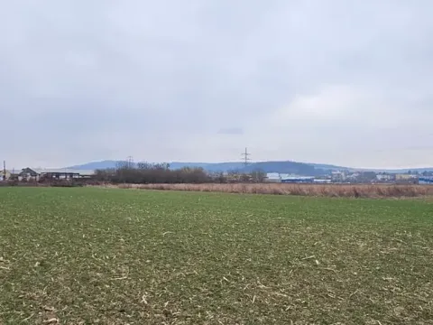 Prodej komerčního pozemku, Tečovice, 15590 m2