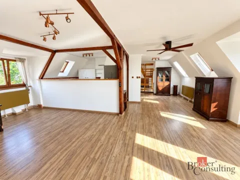 Prodej bytu 4+kk, Litvínov - Horní Litvínov, Podkrušnohorská, 165 m2