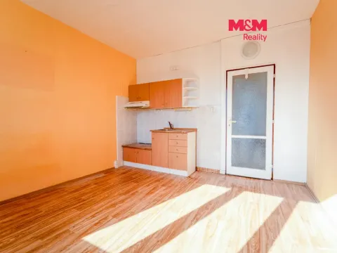 Prodej bytu 1+kk, Plzeň - Lobzy, Pod Vrchem, 20 m2