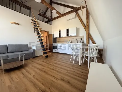 Pronájem bytu 2+kk, Brno, Wurmova, 55 m2