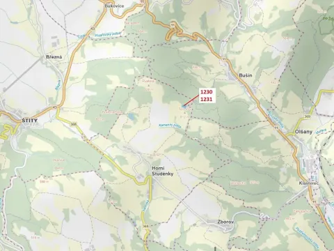 Dražba lesa, Horní Studénky, 7904 m2