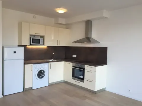 Pronájem bytu 1+kk, Praha - Vršovice, Altajská, 35 m2