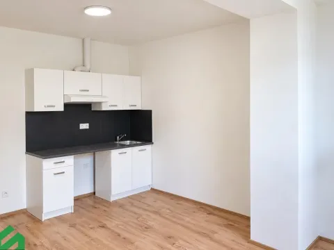 Pronájem bytu 1+kk, Praha - Břevnov, Na břevnovské pláni, 22 m2