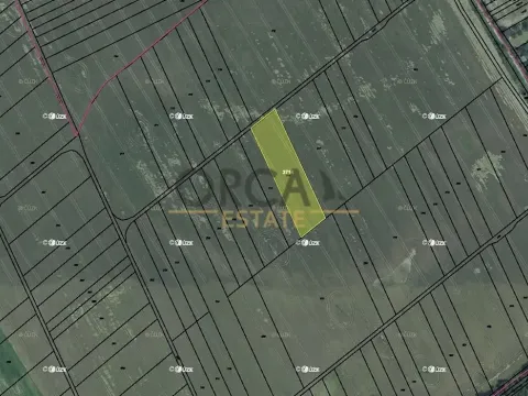 Prodej podílu pole, Kvasice, 1861 m2