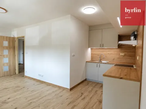 Pronájem kanceláře, Opava, Lužická, 38 m2