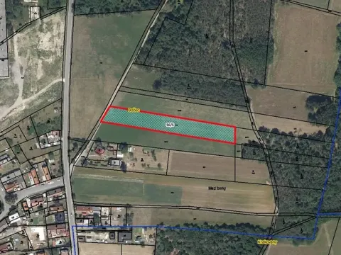 Prodej pozemku, Krakovany, 4200 m2