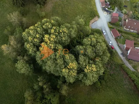 Prodej lesa, Větřní, 3373 m2