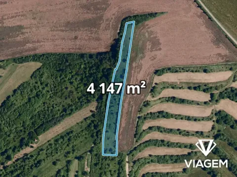 Prodej podílu zahrady, Židlochovice, 1036 m2
