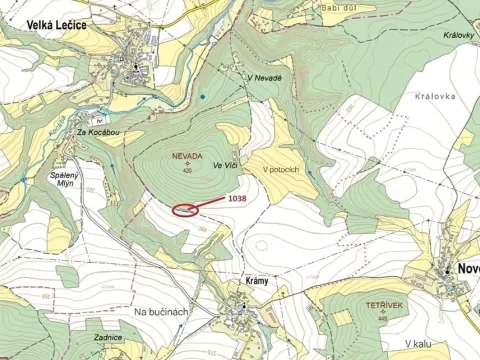 Dražba lesa, Nové Dvory, 953 m2