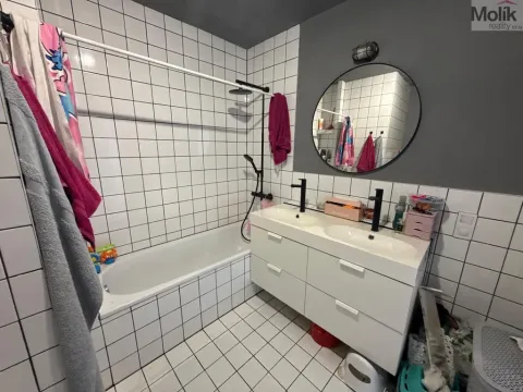 Pronájem bytu 3+1, Most, Růžová, 56 m2