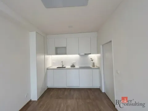 Pronájem bytu 1+kk, Ostrava - Zábřeh, Průkopnická, 33 m2
