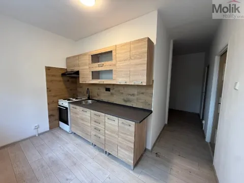 Pronájem bytu 2+1, Bílina - Teplické Předměstí, Sídliště U Nového nádraží, 55 m2