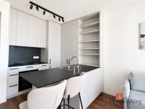 Pronájem bytu 2+kk, Plzeň - Východní Předměstí, Zahradní, 43 m2
