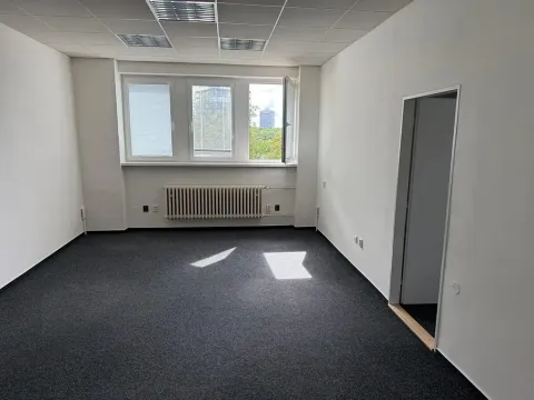 Pronájem kanceláře, Praha - Žižkov, U zásobní zahrady, 46 m2