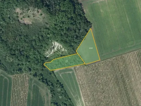 Prodej sadu/vinice, Želkovice, 8055 m2