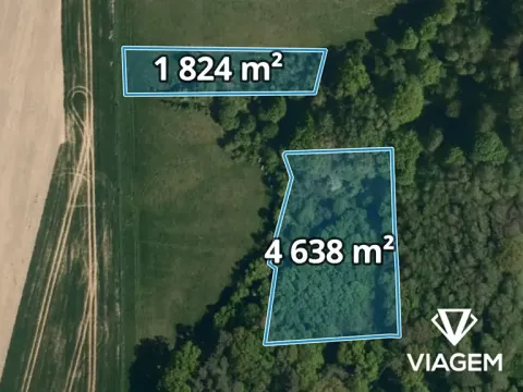 Prodej podílu lesa, Zlín, 1077 m2