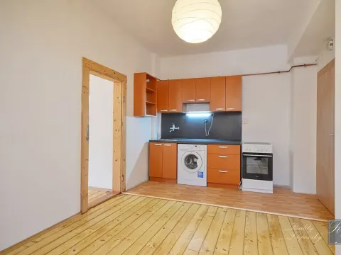 Prodej bytu 2+kk, Ústí nad Labem, Důlce, 30 m2