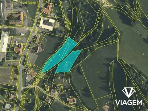 Prodej zahrady, Horní Čermná, 3980 m2