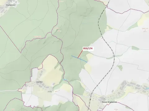 Dražba lesa, Nová Hradečná, 6275 m2