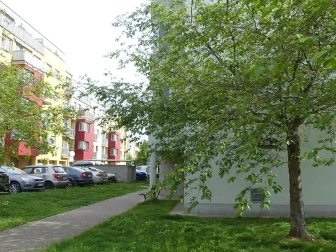 Prodej bytu 1+kk, Pardubice, Josefa Bublíka, 31 m2