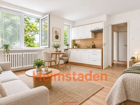 Pronájem bytu 1+kk, Albrechtice, Hornická, 25 m2