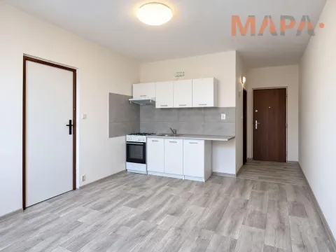 Pronájem bytu 1+1, Chomutov, Dřínovská, 35 m2