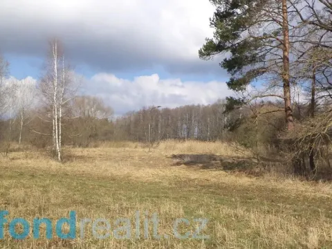 Prodej pozemku, Lužnice, 2131 m2
