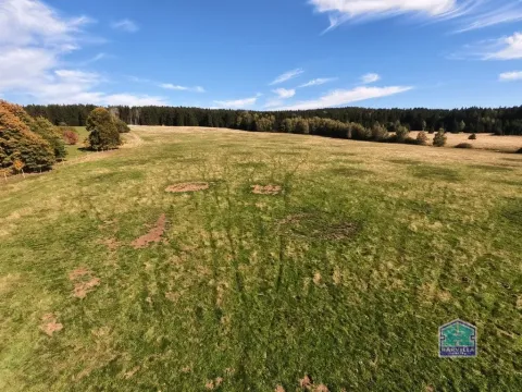 Prodej louky, Lesná - Stará Knížecí Huť, 410390 m2