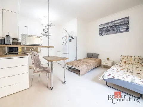 Prodej bytu 1+kk, Praha - Žižkov, Rokycanova, 35 m2