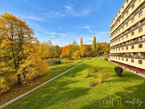 Prodej bytu 1+1, Litvínov - Horní Litvínov, Koldům, 49 m2