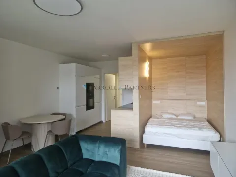 Pronájem bytu 1+kk, Ostrava - Slezská Ostrava, U Hájenky, 40 m2