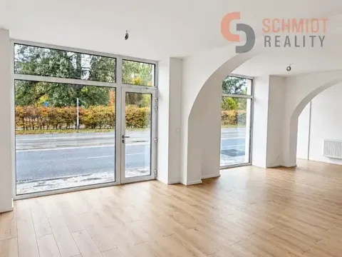 Pronájem obchodního prostoru, Brno, Bubeníčkova, 49 m2