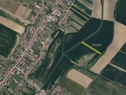Prodej pole, Svatobořice-Mistřín, 5446 m2